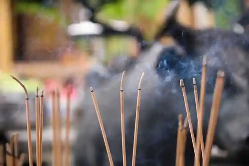 从设坛到送魂：道长带你体验完整超度仪式流程